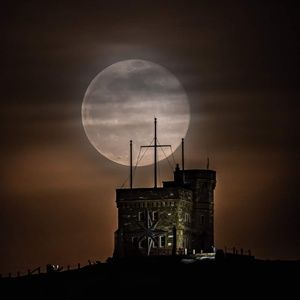 Meet your Posher, Terry